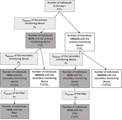 Diadromous fish run assessment: a double-observer model using acoustic cameras to correct imperfect detection and improve population abundance estimates